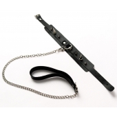 Черный ошейник с шипами и поводком - Crazy Handmade - купить с доставкой в Братске