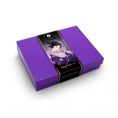 Подарочный набор Naughter Kit - Shunga - купить с доставкой в Братске