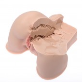 Мастурбатор-полуторс Naked Factory Kate - Naked Factory - в Братске купить с доставкой