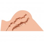 Мастурбатор-полуторс Naked Factory Hannah - Naked Factory - в Братске купить с доставкой