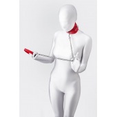 Красный ошейник с подкладкой из меха - ToyFa - купить с доставкой в Братске