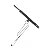 Черный узкий однослойный ошейник с серебристым поводком-цепочкой - Pecado - купить с доставкой в Братске