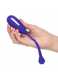 Фиолетовый шарик с электростимуляцией и вибрацией Intimate E-Stimulator Remote Kegel Exerciser - California Exotic Novelties - купить с доставкой в Братске