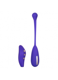 Фиолетовый шарик с электростимуляцией и вибрацией Intimate E-Stimulator Remote Kegel Exerciser - California Exotic Novelties - купить с доставкой в Братске