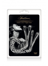 Регулируемые зажимы для сосков Sweet Caress Nipple Chain - Sweet Caress - купить с доставкой в Братске