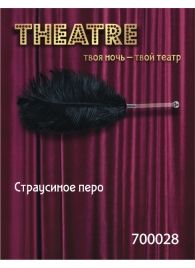 Чёрное страусовое пёрышко - ToyFa - купить с доставкой в Братске