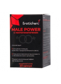 Капсулы для мужчин Erotichard male power с пантогематогеном - 20 капсул (0,370 гр.) - Erotic Hard - купить с доставкой в Братске