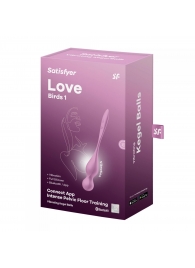 Розовые вагинальные шарики Love Birds 1 - Satisfyer