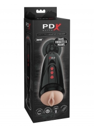 Мастурбатор-вагина с вибрацией Dirty Talk Starter Stroker - Pipedream - в Братске купить с доставкой