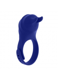 Синее эрекционное виброкольцо с клиторальной подушечкой и пультом ДУ Adjustable Fun Ring - Zero Tolerance - в Братске купить с доставкой