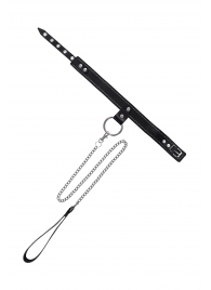 Черный узкий однослойный ошейник с серебристым поводком-цепочкой - Pecado - купить с доставкой в Братске