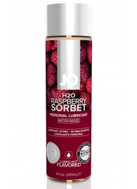 Лубрикант на водной основе с ароматом малины JO Flavored Raspberry Sorbet - 120 мл. - System JO - купить с доставкой в Братске