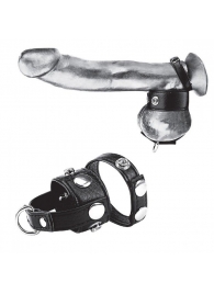 Утяжка для мошонки и пениса Cock Ring With 1  Ball Stretcher And Optional Weight Ring - BlueLine - купить с доставкой в Братске