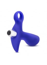 Синий стимулятор простаты с ручкой-кольцом Performance Prostimulator 02 - Blush Novelties - в Братске купить с доставкой