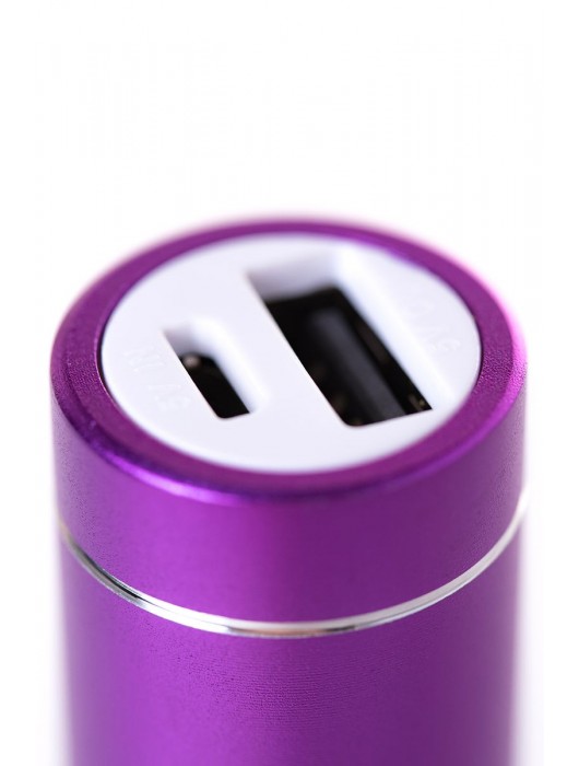 Портативное зарядное устройство A-toys 2400 mAh microUSB - A-toys - купить с доставкой в Братске