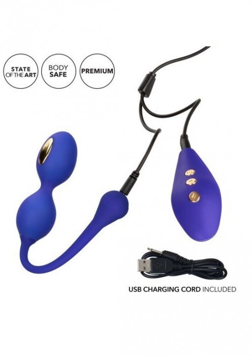 Фиолетовые виброшарики с электростимуляцией Impulse Intimate E-Stimulator Dual Kegel - California Exotic Novelties - купить с доставкой в Братске