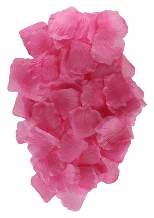 Эротический набор FANTASTIC PURPLE SEX TOY KIT - Toy Joy - купить с доставкой в Братске