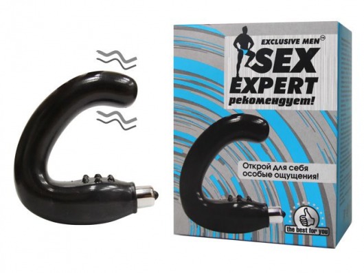 Чёрный массажёр простаты серии Sex Expert - Sex Expert - в Братске купить с доставкой