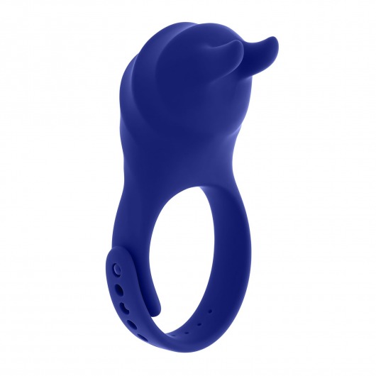 Синее эрекционное виброкольцо с клиторальной подушечкой и пультом ДУ Adjustable Fun Ring - Zero Tolerance - в Братске купить с доставкой