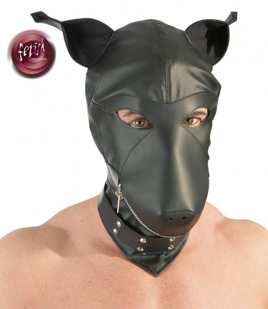 Шлем-маска Dog Mask в виде морды собаки - Orion - купить с доставкой в Братске