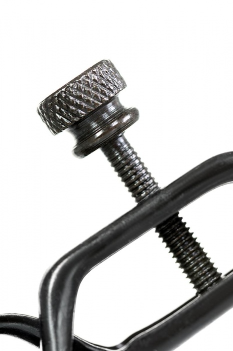 Черно-золотистые зажимы для сосков TOYFA Theatre - ToyFa - купить с доставкой в Братске