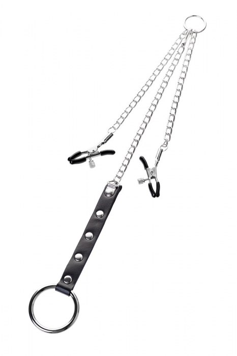 Серебристо-чёрные зажимы для сосков с кольцом для пениса TOYFA Metal - ToyFa - купить с доставкой в Братске